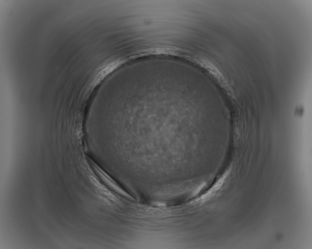 X0000095940977200801181357