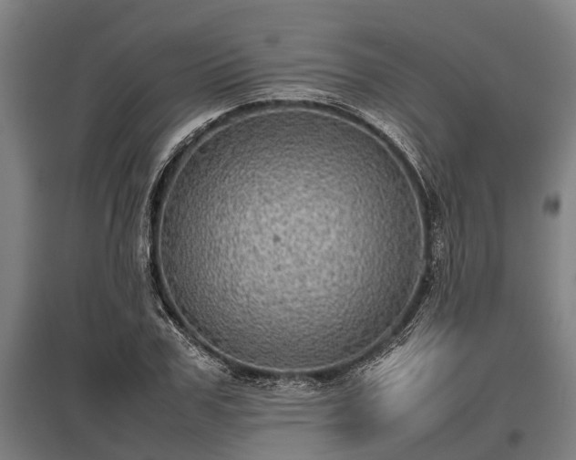 X0000095940979200801181357
