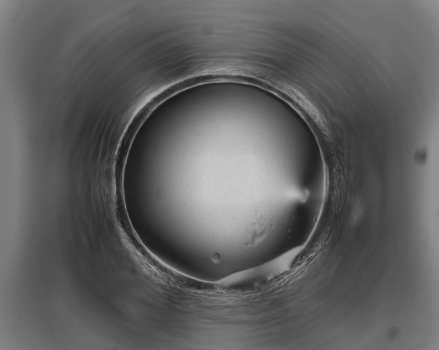 X0000095940980200801181357