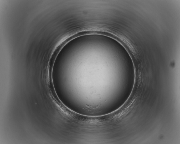X0000095940982200801181357