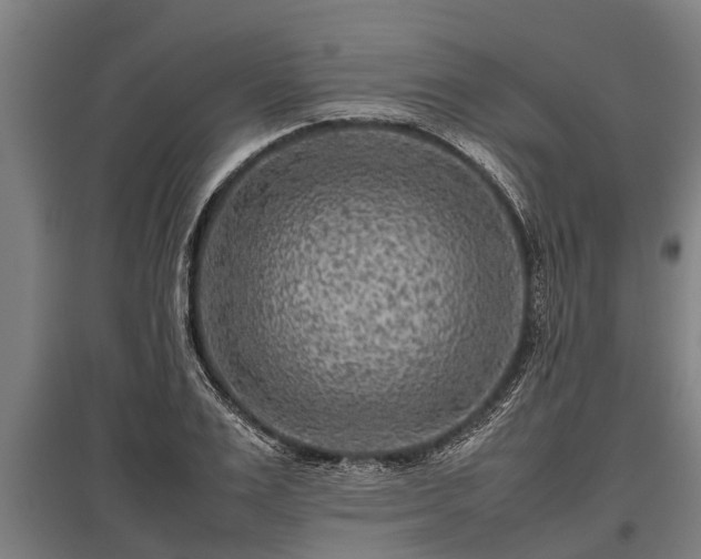 X0000095940983200801181357