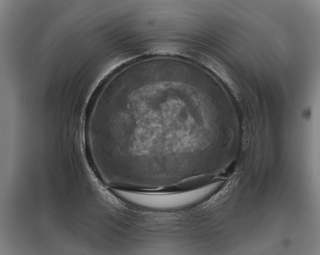 X0000095940984200801181357