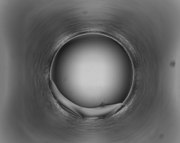 X0000095940985200801181357