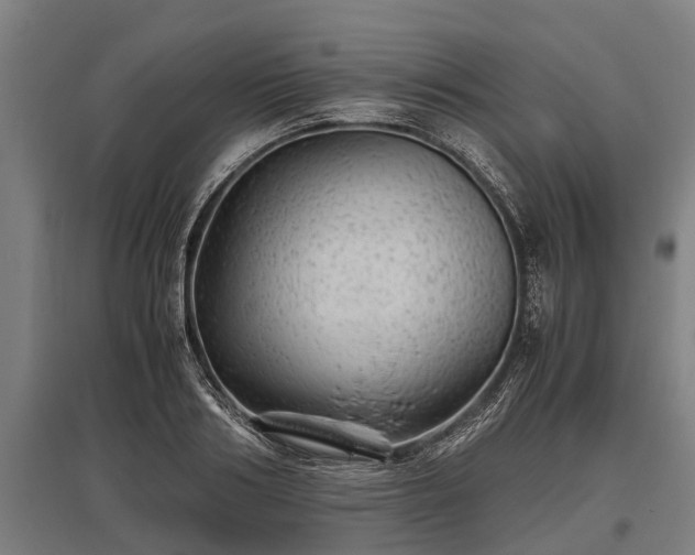 X0000095940986200801181357