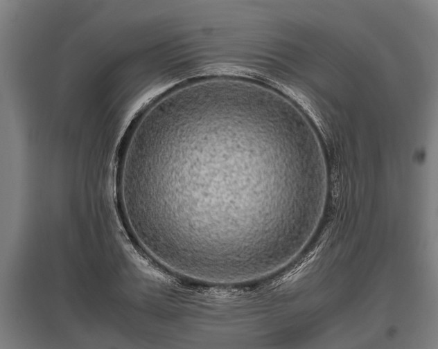 X0000095940987200801181357