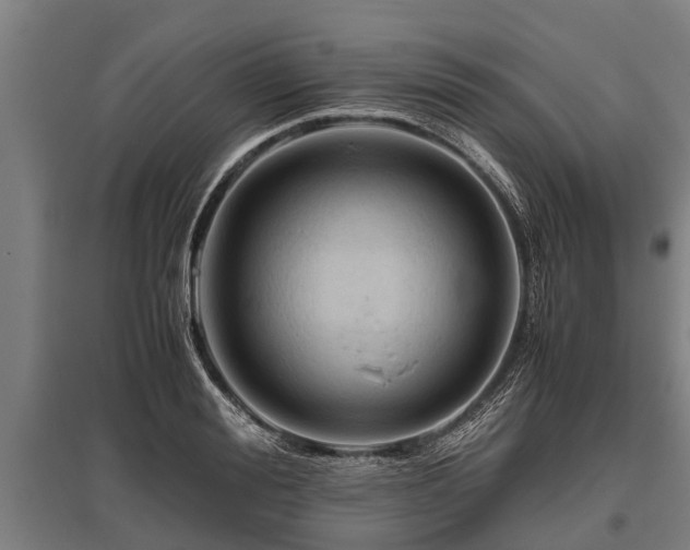 X0000095940988200801181357