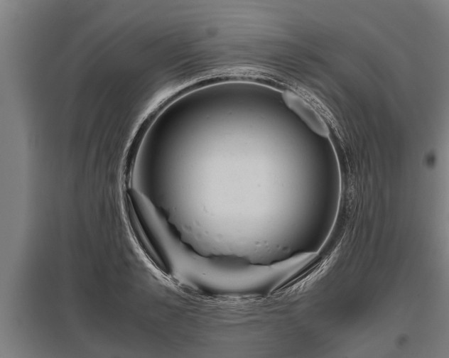 X0000095940989200801181357