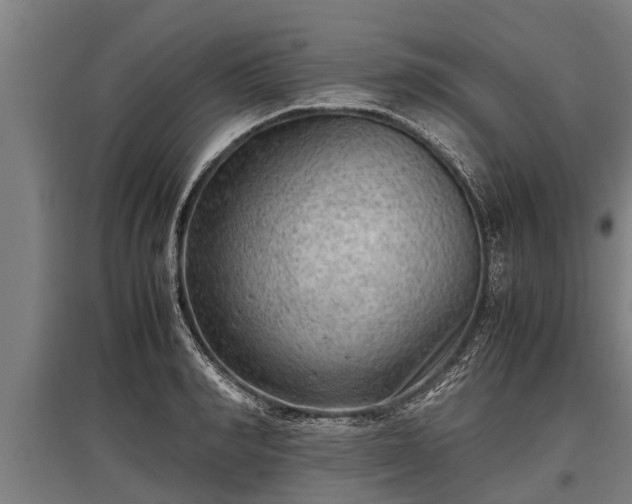X0000095940990200801181357