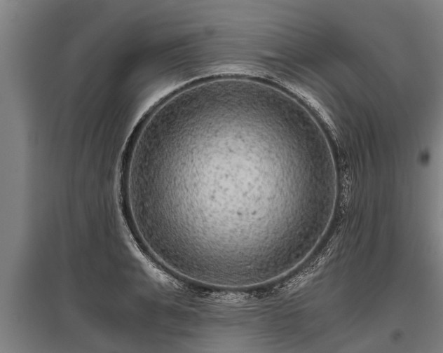 X0000095940991200801181357