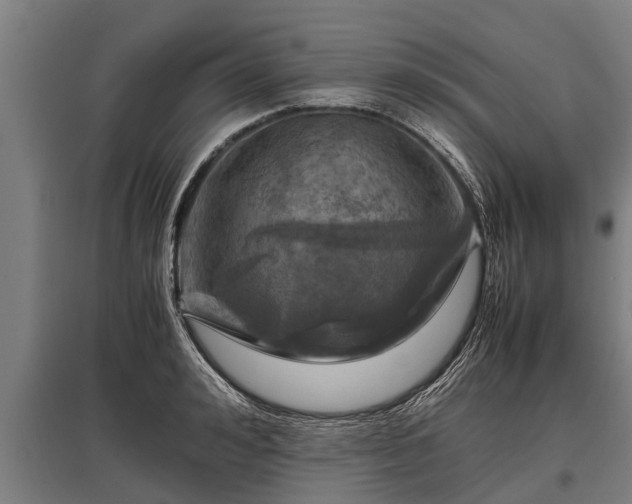 X0000095940992200801181357