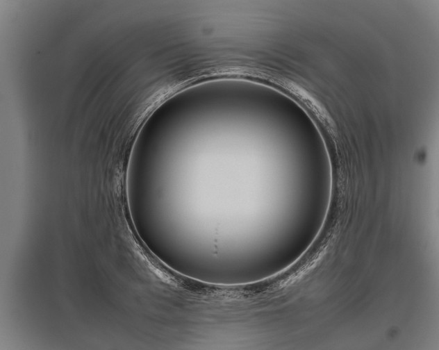 X0000095940993200801181357