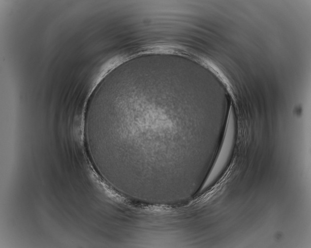 X0000095940994200801181357
