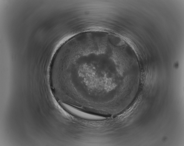 X0000095940995200801181357