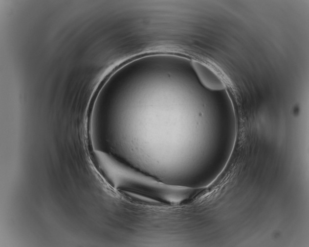 X0000095940996200801181357