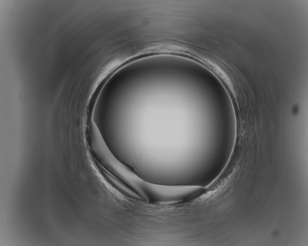 X0000095940997200801181357