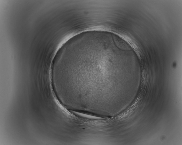 X0000095940998200801181356