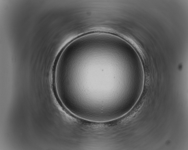 X0000095940999200801181356