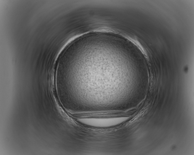 X0000095941000200801181356