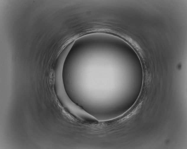 X0000095941001200801181356