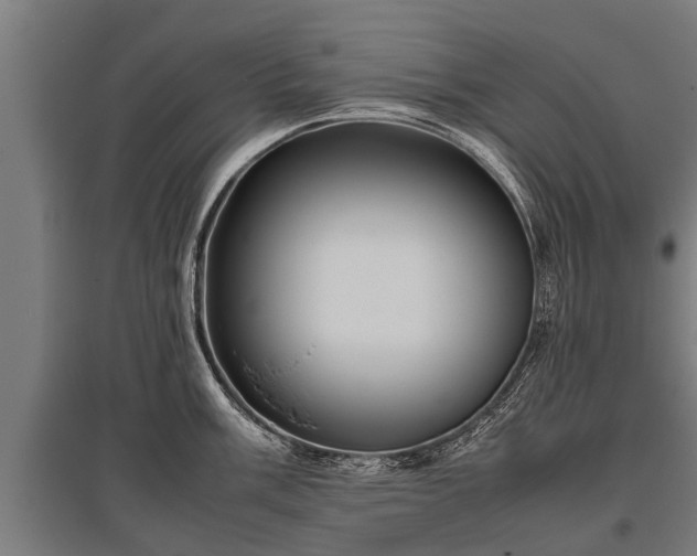 X0000095941003200801181356