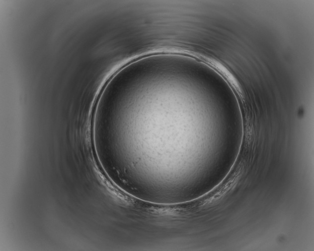 X0000095941004200801181356