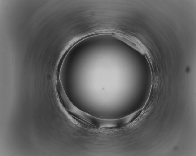 X0000095941005200801181356