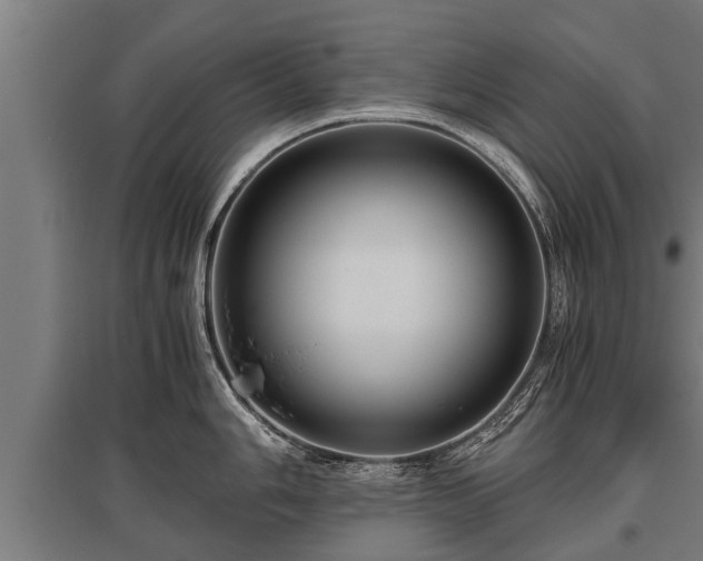 X0000095941006200801181356