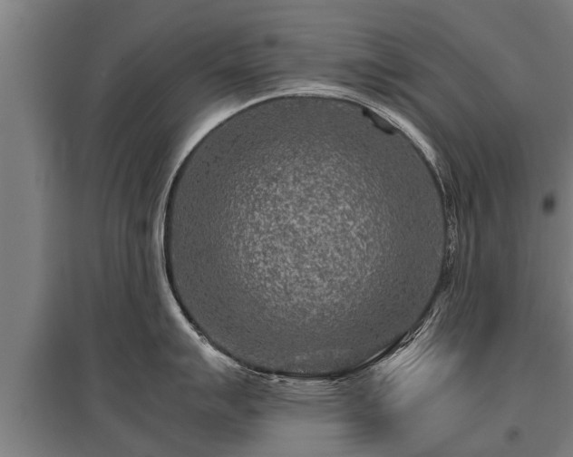 X0000095941007200801181356