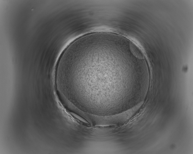 X0000095941008200801181356