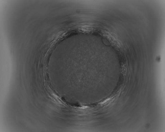 X0000095941009200801181356