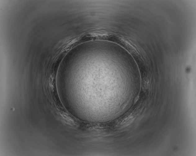 X0000095941010200801181356