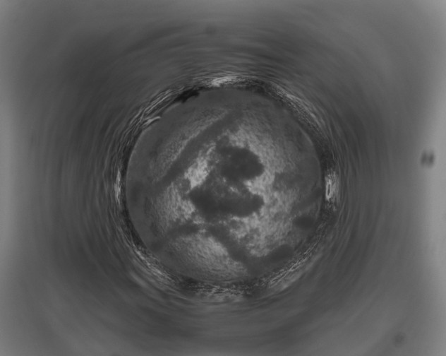 X0000095941011200801181356