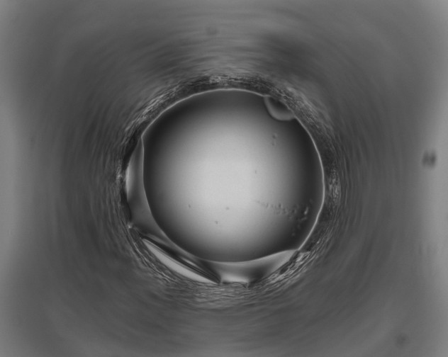 X0000095941012200801181356