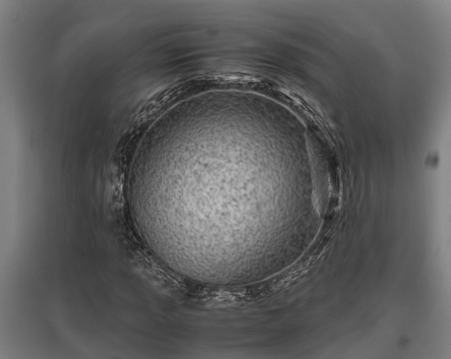 X0000095941013200801181356
