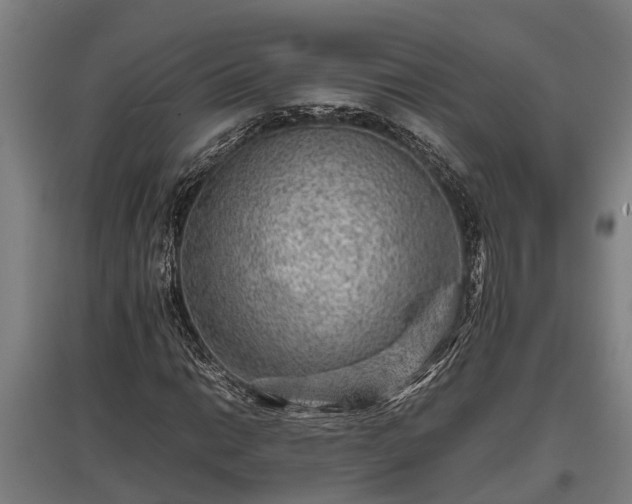 X0000095941014200801181356