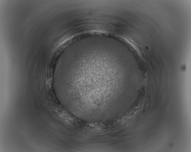 X0000095941015200801181356