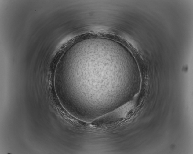 X0000095941016200801181356