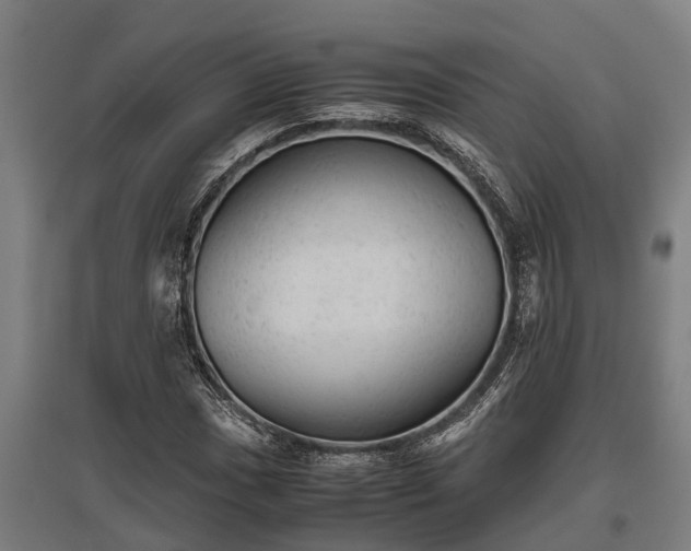 X0000095941017200801181356