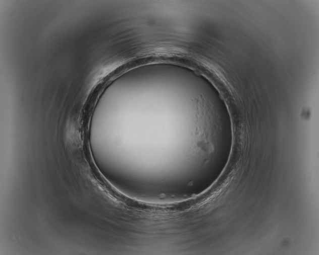 X0000095941018200801181356