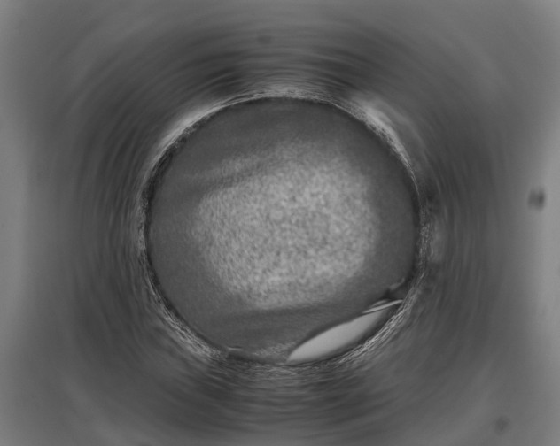 X0000095941019200801181356