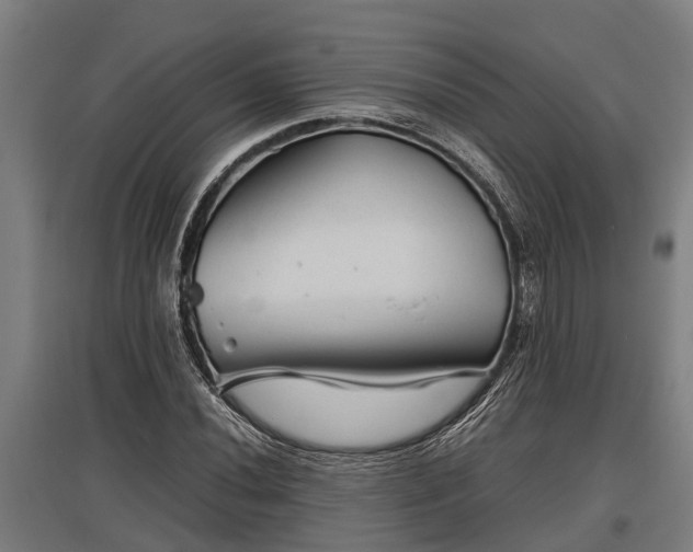 X0000095941020200801181356