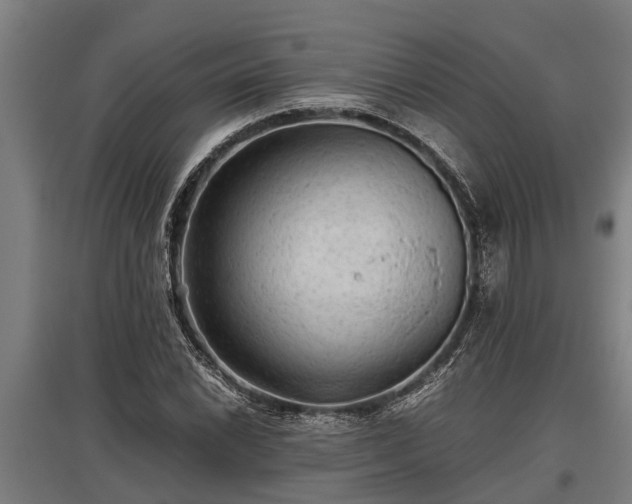 X0000095941022200801181356