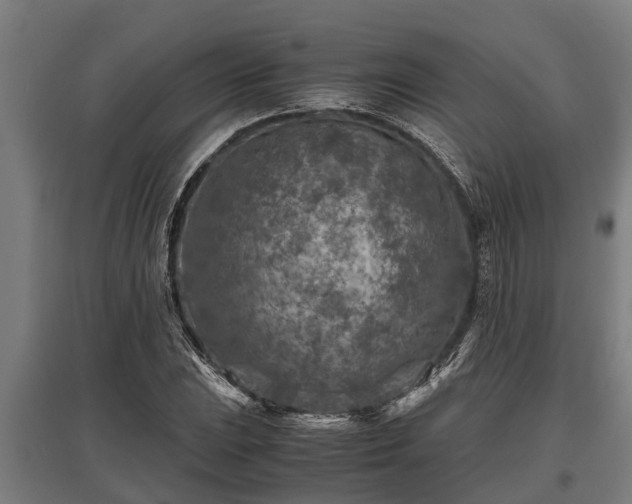 X0000095941023200801181356