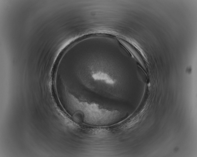 X0000095941024200801181356