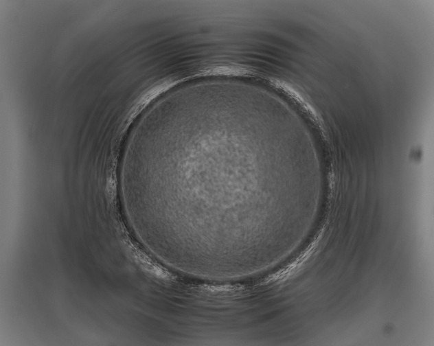X0000095941025200801181356