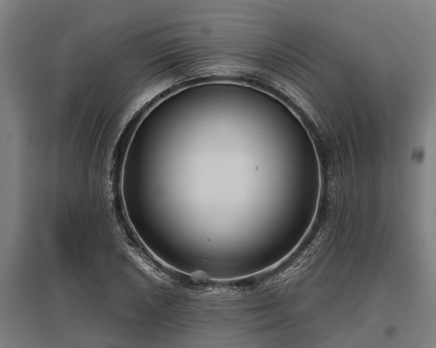 X0000095941026200801181356