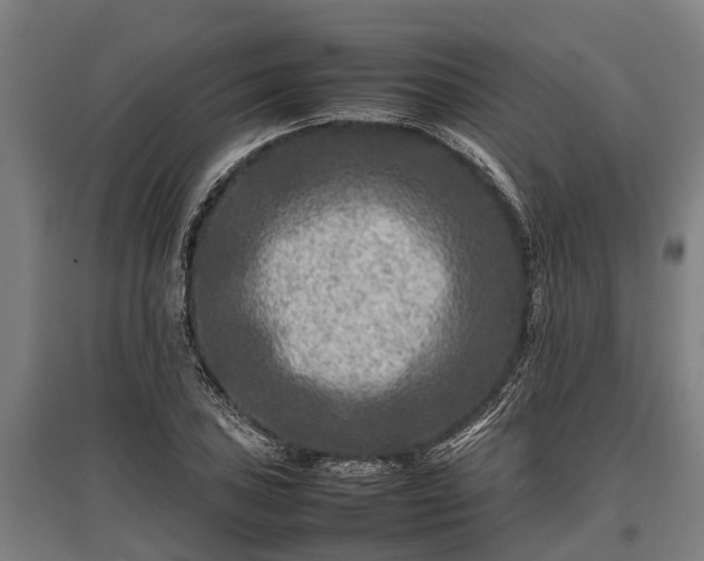 X0000095941027200801181356