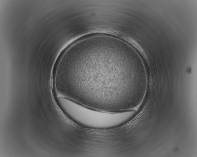 X0000095941028200801181356