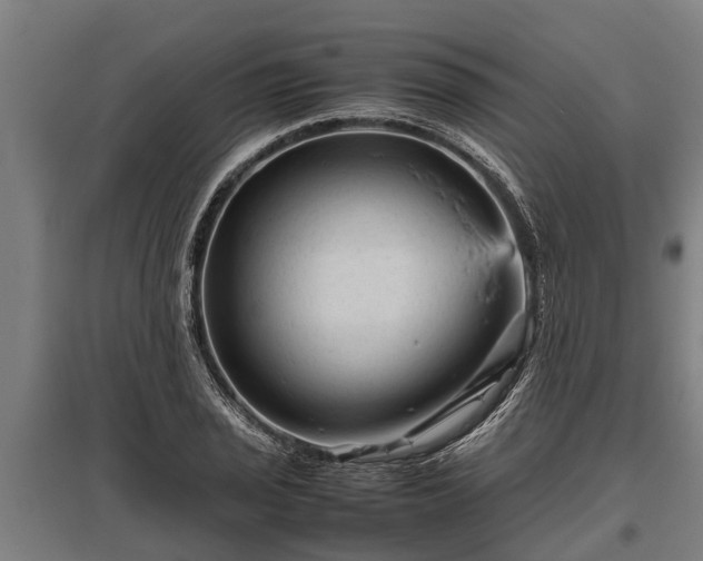 X0000095941029200801181356