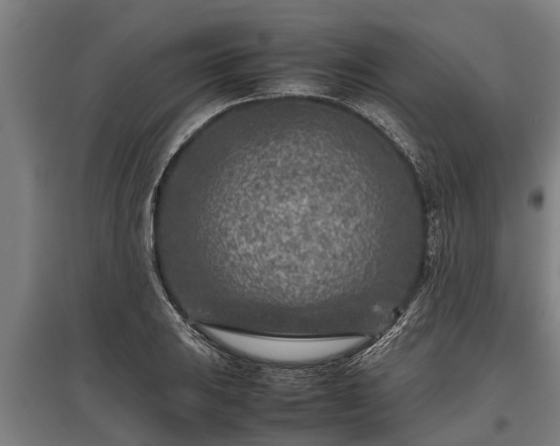X0000095941031200801181356
